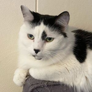 Meet your Posher, Marek